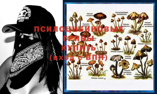 Альфа ПВП Козельск