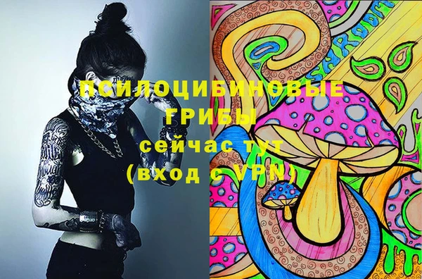кокаин премиум Козловка