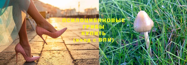 дживик Кодинск
