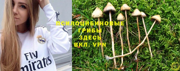 мескалин Краснослободск